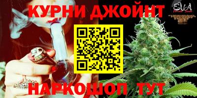 сатива Пугачёв