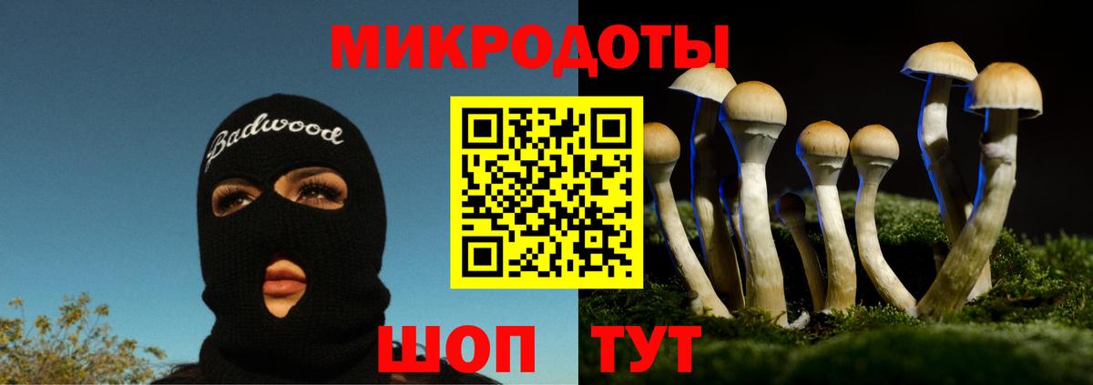 Галлюциногенные грибы Psilocybe  Вход с VPN  купить наркоту  Рубцовск 